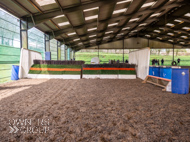 AH190423-5 - Schooling jumps